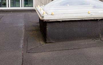 disadvantages of Moss Houses flat roofs