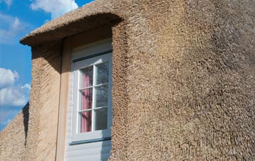 Moss Houses thatch roof disadvantages